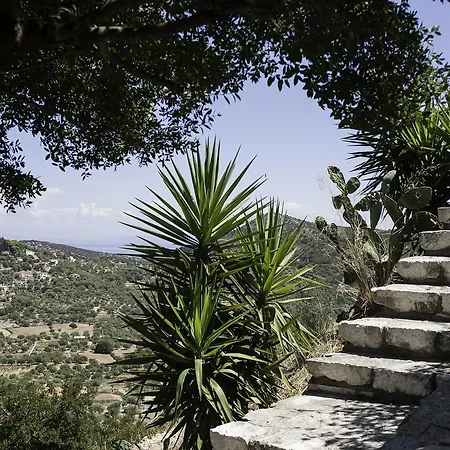 Aparthotel Calypso 3*